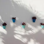Penthouse In Paraiso Pueblo Style & Serenity Διαμέρισμα *
